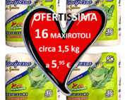 offerta 16 maxi rotoli